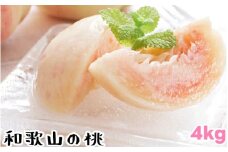 【夏の美味】 【和歌山ブランド】 フルーツ王国 和歌山の 桃 12～16玉入り（約4kg） 品種おまかせ / 桃 もも フルーツ くだもの 果物 果実 お中元 お供え お盆 和歌山 ※北海道・沖縄・その他離島への配送不可 ※2026年6月中旬～7月下旬に順次発送予定 【ard501-r-4A】