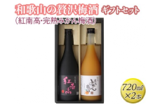 和歌山の贅沢梅酒ギフトセット(紅南高・完熟みかん梅酒) ◇※離島への配送不可