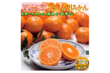 【2022年11月下旬以降発送】　和歌山県産 完熟有田みかん 約10kg｜くだもの 果物 フルーツ 柑橘  蜜柑 ミカン 産地直送※2022年11月下旬～2023年1月上旬に順次発送予定※離島への配送不可※着日指定不可