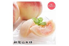 【先行予約】【夏の美味】フルーツ王国　和歌山の桃　約２kg
| もも モモ 桃 国産 フルーツ 果物 果実 お取り寄せ ギフト デザート スイーツ 贈り物
※北海道・沖縄・離島への配送不可
※2025年6月中旬～7月下旬頃に順次発送予定（fr-06）