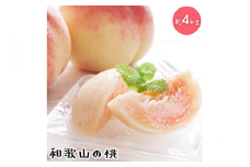 【先行予約】【夏の美味】フルーツ王国　和歌山の桃　約４kg
| もも モモ 桃 国産 フルーツ 果物 果実 お取り寄せ ギフト デザート スイーツ 贈り物
※北海道・沖縄・離島への配送不可
※2025年6月中旬～7月下旬頃に順次発送予定（fr-07）