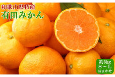 [秀品]紀州有田みかん約5kg（S～Lサイズおまかせ） ※2024年11月中旬～12月下旬頃に順次発送予定