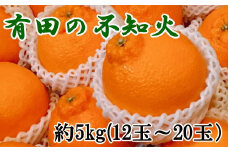 【濃厚】有田の不知火約5kg（12玉～20玉）※2026年2月中旬～4月中旬頃に順次発送予定
