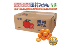 【2022年11月下旬以降発送】和歌山県産プレミアムブランド田村みかん 青秀 10kg｜くだもの 果物 フルーツ 柑橘  蜜柑 ミカン 産地直送※2022年11月下旬～2023年1月中旬に順次発送予定※離島への配送不可※着日指定不可