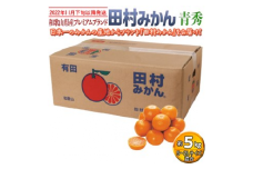【2022年11月下旬以降発送】和歌山県産プレミアムブランド田村みかん 青秀 5kg｜くだもの 果物 フルーツ 柑橘  蜜柑 ミカン 産地直送※2022年11月下旬～2023年1月中旬に順次発送予定※離島への配送不可※着日指定不可