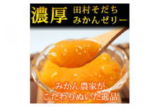 濃厚！田村そだちみかんゼリー