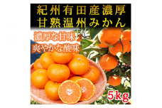 紀州有田産濃厚甘熟温州みかん5kg※2025年11月下旬〜2026年1月下旬頃に順次発送予定 ふるさと納税 みかん