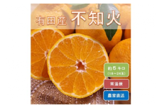 和歌山県有田産 不知火 約5kg（18～24玉）ひとつひとつ手選別で厳選！生産者から直送 ※2026年2月中旬頃より順次発送予定