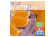 和歌山県有田産 完熟清見オレンジ 5kg（M～2Lサイズおまかせ）ひとつひとつ丁寧に厳選！生産者から直送 ※2026年3月中旬頃より順次発送予定