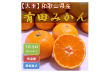 [大玉]和歌山県産 有田みかん10kg（2L～4Lサイズおまかせ）ひとつひとつ手選別で厳選！生産者から直送 ※2025年11月下旬頃より順次発送予定