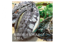やわコリ食感紀州活アワビ 【5個入】◇｜ 海産物 海鮮 魚介類 鮑 おかず あわび 高級食材 養殖 国産 産地直送 鮮貝 美浜町