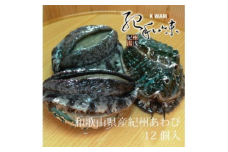 やわコリ食感紀州活アワビ 【12個入】｜ 海産物 海鮮 魚介類 鮑 おかず あわび 高級食材 養殖 国産 産地直送 鮮貝 美浜町