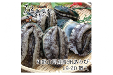 やわコリ食感紀州活アワビ 【19-20個入】｜ 海産物 海鮮 魚介類 鮑 おかず あわび 高級食材 養殖 国産 産地直送 鮮貝 美浜町