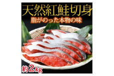 和歌山魚鶴仕込の天然紅サケ切身 約2kg◆