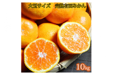 大玉サイズ　完熟有田みかん　１０kg ※2025年11月下旬〜2026年1月下旬頃に順次発送予定