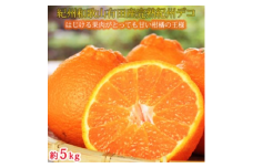 果肉プリプリ♪　完熟紀州デコ(不知火) 約5kg ※2026年2月下旬～3月下旬頃に順次発送予定｜ 柑橘 不知火 デコポン みかん フルーツ 果物 旬 先行予約 でこぽん 国産 産地直送 完熟 一級品  美浜町