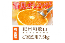 【ご家庭用訳アリ】紀州有田産清見オレンジ　７.５kg※2026年3月下旬頃〜2026年4月中旬頃に順次発送予定