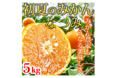 初夏のみかん なつみ５kg ふるさと納税 みかん
※着日指定不可
※2026年4月中旬頃〜2026年4月下旬頃に順次発送予定