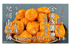 紀州南高梅うすしお味1kgと湯浅醤油1本