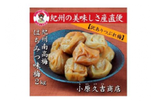 【訳あり】やわらかすぎてできた つぶれはちみつ味梅干し 2kg◇ 美浜町 ふるさと納税 梅干 梅干し ※離島への配送不可
