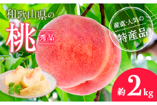 【産直・人気の特産品】和歌山の桃　約2kg・秀品｜ もも モモ 桃 国産 フルーツ 果物 果実 お取り寄せ ギフト デザート スイーツ 贈り物
