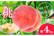 【産直・人気の特産品】和歌山の桃　約4kg・秀品◇ ｜ もも モモ 桃 国産 フルーツ 果物 果実 お取り寄せ ギフト デザート スイーツ 贈り物
※2025年6月下旬～8月上旬頃に順次発送予定
※北海道・沖縄・離島への配送不可