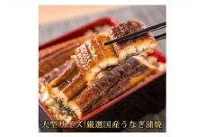 大型サイズ　 ふっくら柔らか国産うなぎ蒲焼き　約２人前　化粧箱入◆