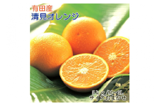 【産直】有田産清見オレンジ約5kg（秀品サイズおまかせ）◇ ※2025年2月上旬～3月下旬頃に順次発送予定