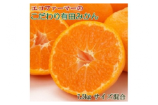 エコファーマーのこだわり有田みかん7.5kg(サイズ混合)◇ ※2025年11月中旬～2026年1月中旬頃に順次発送予定