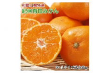 [秀品]和歌山有田みかん約3kg(S～Lサイズ混合) ふるさと納税 ミカン ※2025年11月中旬～2026年1月中旬頃に順次発送予定