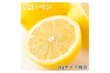【産直】和歌山産レモン約3kg（サイズ混合）※2025年3月中旬～5月下旬頃に順次発送予定