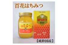 【純粋国産】和歌山県産百花はちみつ600g ※2026年1月中旬～1月下旬頃に順次発送予定
