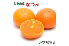 【希少柑橘】和歌山県産なつみ約5kg（S～2Lサイズおまかせ） ※2026年4月上旬～4月下旬頃に順次発送予定 