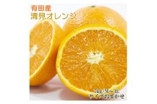 [厳選]有田産清見オレンジ約7kg（サイズおまかせ・秀品）※2023年2月中旬～3月下旬頃に順次発送予定◇