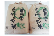 いくひかり（日高郡産）2023年産 10kg ※2023年9月下旬頃より順次発送予定