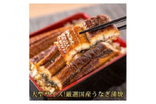 大型サイズ ふっくら柔らか国産うなぎ蒲焼き 3尾◇