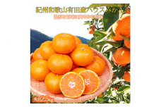 紀州和歌山有田産ハウスみかん 2.5kg 化粧箱入 ふるさと納税 ミカン ※2026年7月上旬〜7月下旬頃に順次発送予定