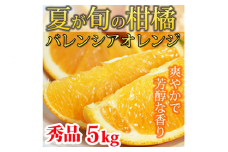 秀品 希少な国産バレンシアオレンジ 5kg ※2026年6月下旬～7月上旬頃に順次発送予定
