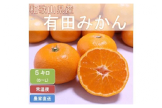 こだわりの和歌山県産 有田みかん 5kg（S～Lサイズおまかせ）ひとつひとつ手選別で厳選！生産者から直送 ※2025年11月下旬頃より順次発送予定