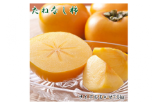 【秋の味覚】和歌山産たねなし柿（L～4Lサイズおまかせ）約7.5kg・秀品〇 ※2025年10月上旬～11月上旬頃に順次発送予定