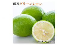 【産直】和歌山産グリーンレモン約3kg（サイズ混合）※2025年10月中旬～11月中旬頃に順次発送予定