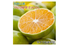 【産直】YN26極早生みかん約5kg（2S～Mサイズおまかせ）｜さわやか 新鮮 産地直送 柑橘 果物 フルーツ※2025年9月中旬～2025年11月上旬頃に順次発送予定