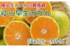 【極早生みかんの逸品】有田産ゆら早生みかん 約5kg
※2025年10月中旬～11月中旬頃に順次発送予定