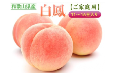 《ご家庭用》和歌山県産 白鳳 11～16玉入り◆ |産地直送 桃 果物 フルーツ もも
※離島への配送不可
※2024年6月上旬～7月中旬頃に順次発送予定
