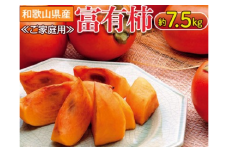 和歌山県産 富有柿＜ご家庭用＞約7.5kg【2022年11月上旬以降発送】| 産地直送 ブランド柿 果物 フルーツ※離島への配送不可
