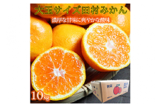高級ブランド田村みかん　１０kg　大玉サイズ※2025年11月下旬〜2026年1月下旬頃に順次発送予定