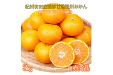 赤秀品 紀州有田産濃厚完熟温州みかん ３kg（ＭサイズまたはＳサイズ）※2025年11月下旬〜2026年1月下旬頃に順次発送予定
 ふるさと納税 ミカン