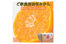 【ご家庭用訳あり】田村みかん １０kg ふるさと納税 ミカン ※2025年11月下旬〜2026年1月下旬頃に順次発送予定