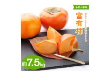 【先行予約】【秋の美味】【九度山ブランド】柿のふるさと九度山の濃厚富有柿 秀品Ｌ～３Ｌサイズ 約7.5kg入り
※2025年11月中旬～12月上旬頃に順次発送予定【GO-08】