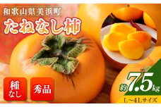 【先行予約】【秋の美味】【和歌山ブランド】濃厚たねなし柿　秀品　L〜４Lサイズ　約７.５ｋｇ入り◇※沖縄地域へのお届け不可※2025年10月上旬～11月上旬頃に順次発送予定【GO-02】